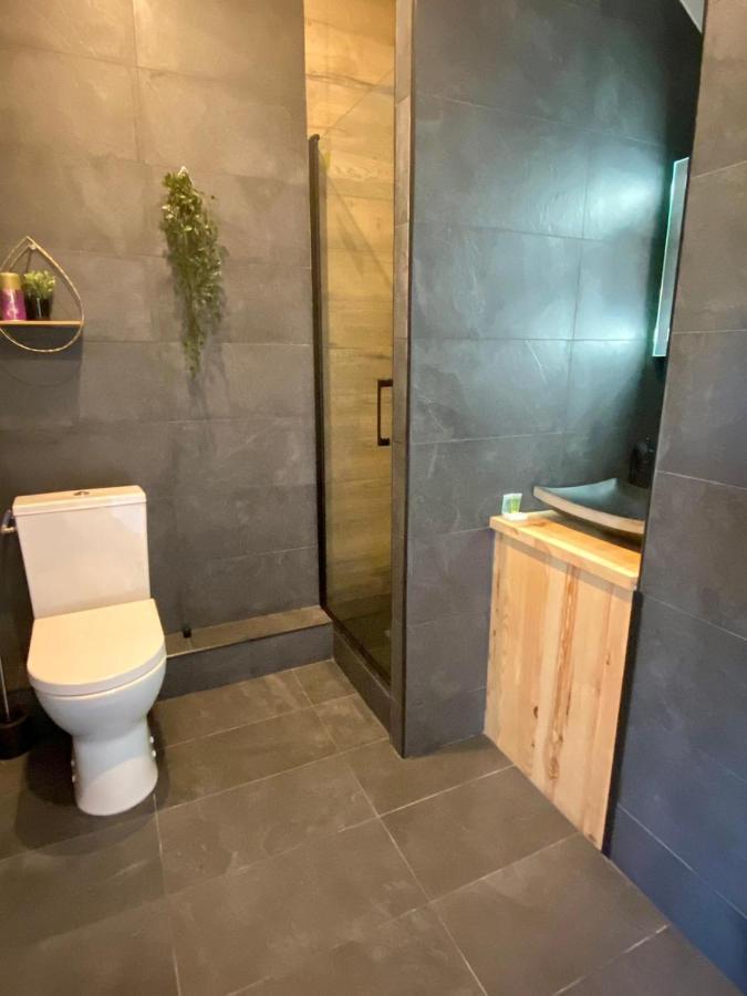 Appartements Du 101 Βιλνέβ ντ' Ασκ Εξωτερικό φωτογραφία